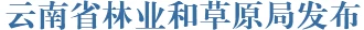 云南省应急管理厅发布