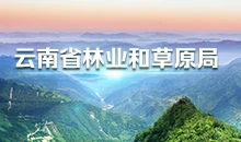 云南出台三项草原保护治理地方标准