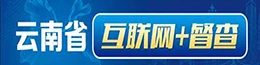 云南省互联网+督查