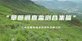 2022年澳门威尼斯人博彩湿调查监测草原样地调查纪录