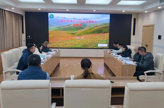 /html/2025/zuixindongtai_0321/73528.html
