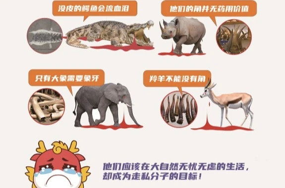 /html/2025/zuixindongtai_0623/74876.html