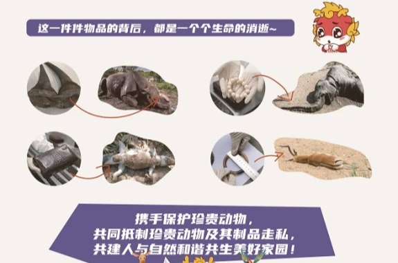 /html/2025/zuixindongtai_0623/74876.html