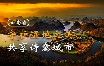 守护湿地之美 共享诗意城市