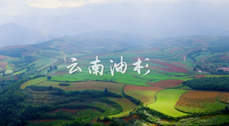 /uploadfile/s37/2025/1014/20251014045746526.mp4