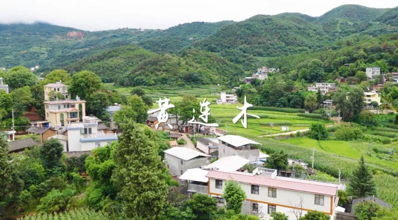 /uploadfile/s37/2025/1015/20251015100024461.mp4