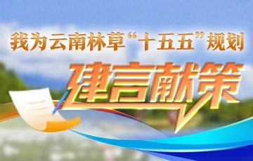 我为云南澳门威尼斯人博彩“十五五”规划建言献策