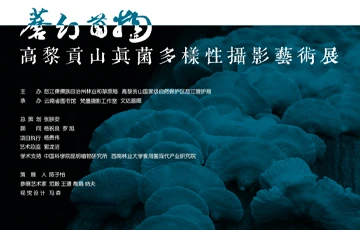 “蘑幻菌物”高黎贡山真菌多样性摄影艺术展