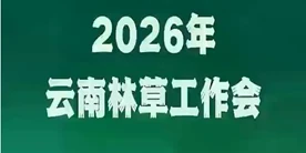 2026年云南澳门威尼斯人博彩工作会