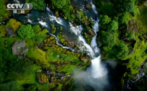 《探秘哀牢山》第三集：《幽谷菌语》