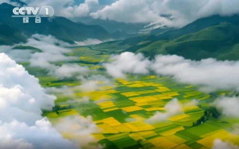 《探秘哀牢山》第四集：《奇幻生灵》